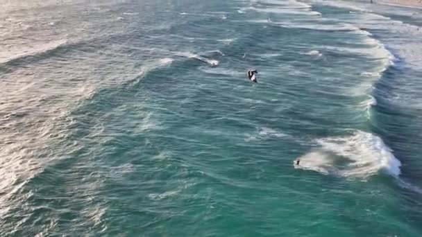 南非开普敦附近的Misty Cliff的风筝冲浪者 Aerial Drone View — 图库视频影像