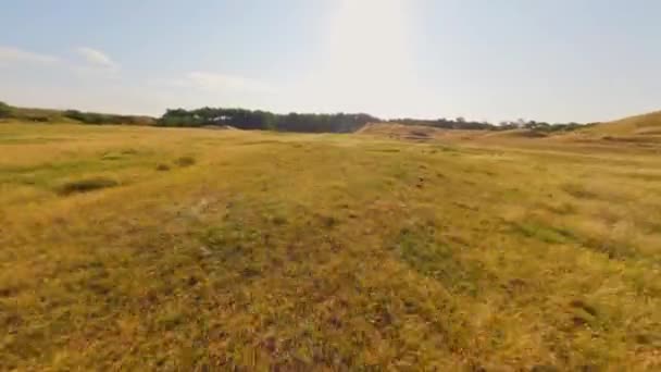 Fpv Drone Πτήση Πάνω Από Κίτρινα Πεδία Και Δάση Στην — Αρχείο Βίντεο