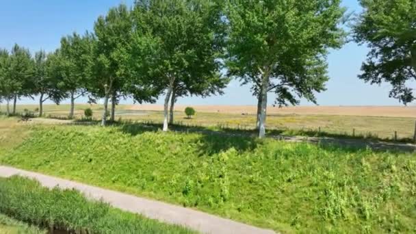 Nature Reserves Province Zeeland Netherlands Drone Flying Trees Lighthouse Distance — Stock Video