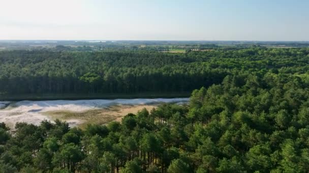 Όμορφη Αγροτική Ολλανδικό Τοπίο Και Πράσινο Δάσος Πτήση Drone Πάνω — Αρχείο Βίντεο