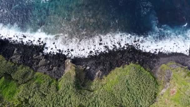 Vagues Mer Cristallines Lavant Les Falaises Rocheuses Herbeuses Des Açores — Video
