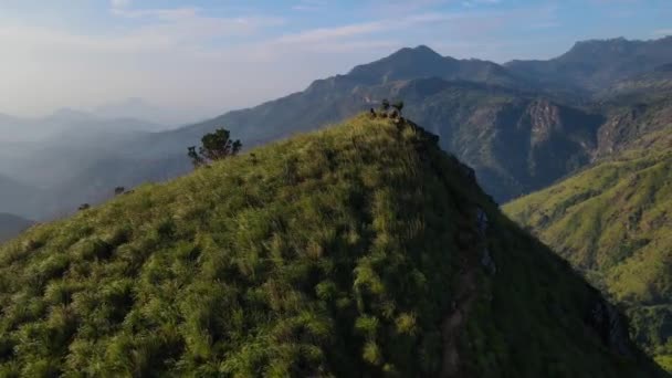 아담의 산꼭대기에서 아침에 경사면을 드론으로 찍었습니다 아름다움 — 비디오