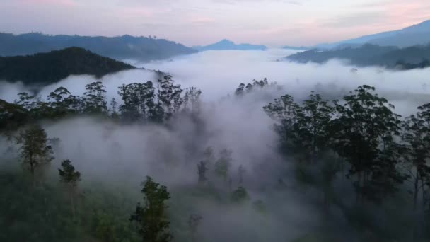 午前中にアダムスピークまたはスリパダから霧の山のドローンショット — ストック動画