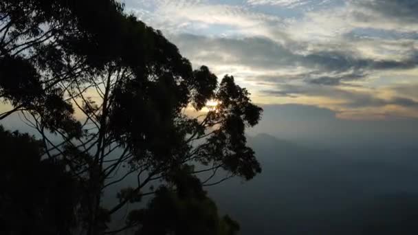 斯里兰卡中部著名的Ella岩石山的一张倾斜的照片 那里的太阳光穿过一棵树 — 图库视频影像