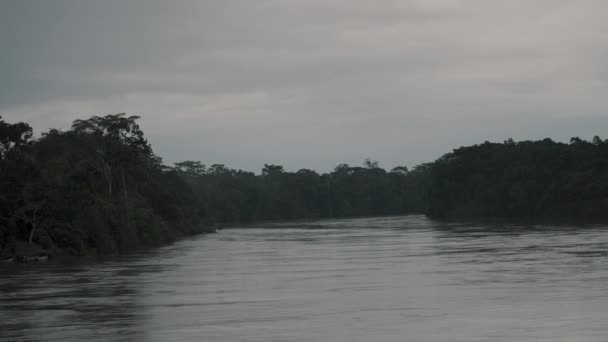 アマゾン熱帯雨林 エクアドルのジャングルの静かなラグーン ワイド — ストック動画