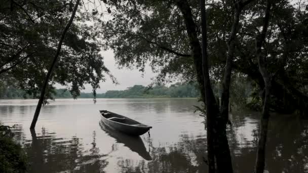 Barco Madera Flotando Las Tranquilas Aguas Del Río Selva Amazónica — Vídeo de stock