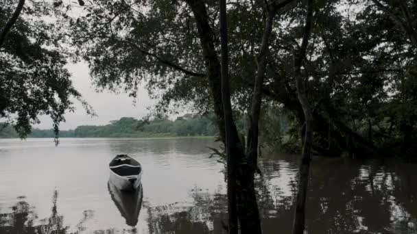 Деревянная Лодка Плавающая Реке Тропическом Лесу Амазонки Эквадоре Широкие — стоковое видео