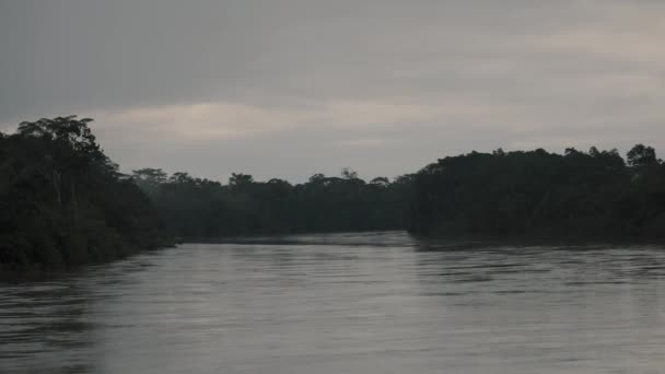 Сценічна Лагуна Амазонському Тропічному Лісі День Хмари Еквадорі — стокове відео