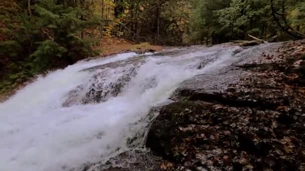Wild Slide Hatchery Falls Muskoka Camp Ramah Ontario Canada — Stok Video