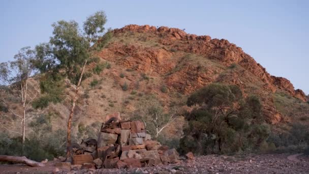 왈라비 집단의 바위투성이 오스트레일리아 — 비디오