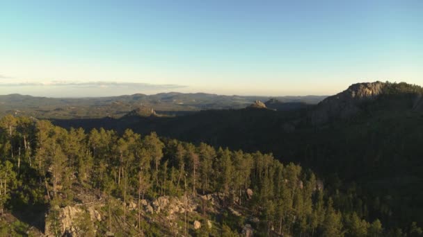 Black Hills South Dakota Custer State Park Aerial Shot Late — Stock Video