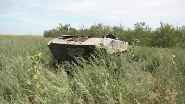 在俄罗斯占领的乌克兰赫尔松前线附近的一片长草和黄色向日葵中 俄罗斯装甲运兵车被丢弃 上面有独特的Z标记 — 图库视频影像