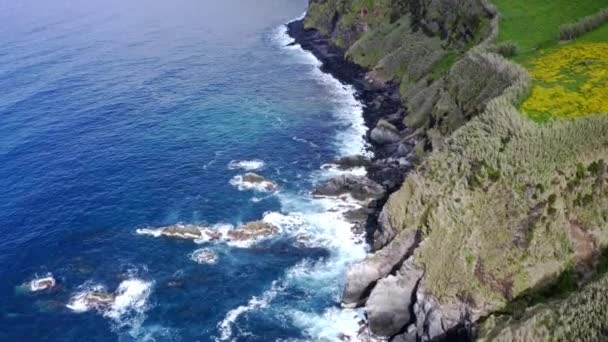 Falaises Côtières Herbeuses Des Açores Dessus Des Vagues Océan Atlantique — Video