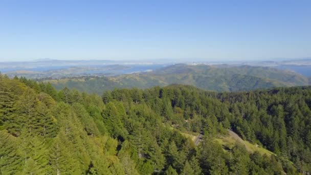 Лесной Горный Ландшафт Заливом Сан Франциско Вдалеке Нажать Вид Воздуха — стоковое видео