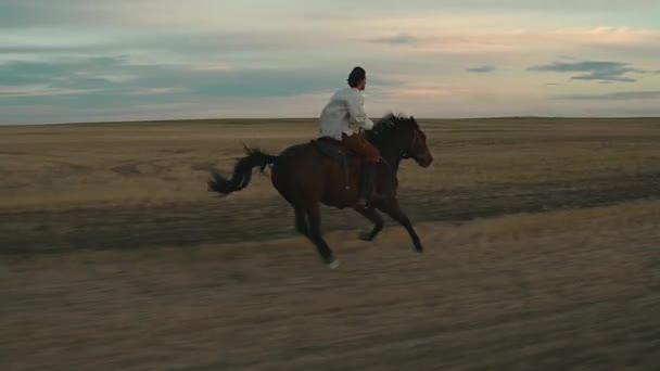 Άνθρωπος Καλπάζει Ένα Άλογο Ένα Χωράφι — Αρχείο Βίντεο