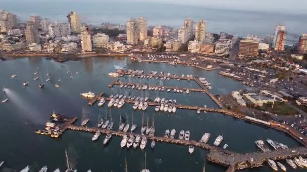 在埃斯特角海滨城市的游轮港停泊的游艇鸟瞰全景 乌拉圭 空中业务 — 图库视频影像