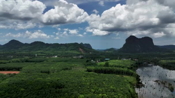 Fluss Mit Saftig Grüner Vegetation Vor Wolkenverhangenem Himmel Amphoe Mueang — Stockvideo