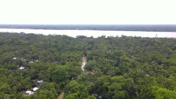 Amazonia Indigenous Village Forest River Aerial Drone View — Stock Video