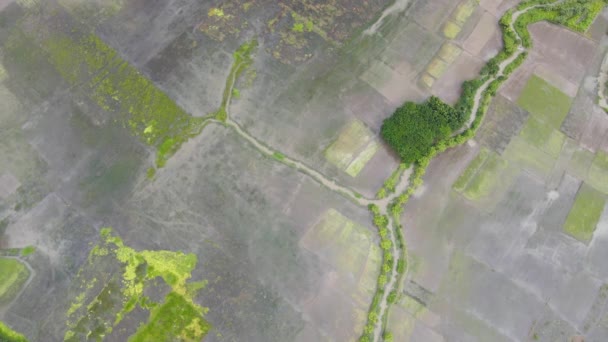 Záplavy Zemědělské Půdy Bangladéši Letecký Výhled Krajinu Shora Dolů Stoupající — Stock video