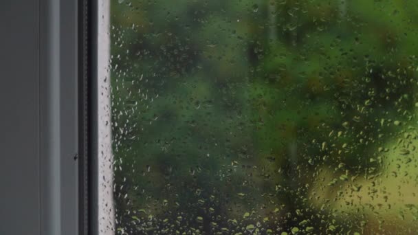 Esőcseppek Futnak Üvegen Egy Gyönyörű Fókuszon Kívüli Háttérben Közeli Makróban — Stock videók