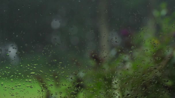 Waterdruppels Van Regen Lopen Door Een Raam Met Onscherpe Bomen — Stockvideo