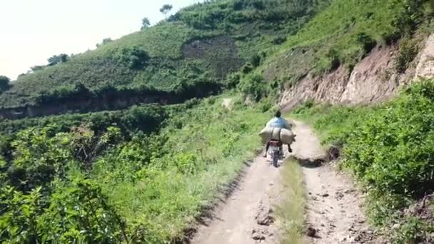Pracownik Motocyklu Przewozi Torbę Ziarnami Kawy Wieś Ugandy Afryka — Wideo stockowe