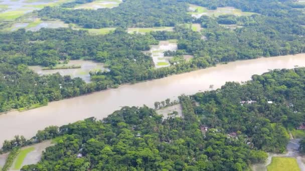 氾濫した川の空中ビュー 湿地に森を回す 大規模な自然災害 バングラデシュ — ストック動画