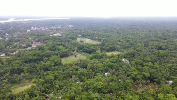 Drone Sobrevuelan Denso Paisaje Forestal Pequeñas Casas Rodeadas Exuberantes Árboles — Vídeo de stock