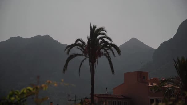 靠近Deia的Mallorca的背景是山的棕榈树 — 图库视频影像