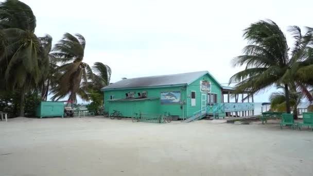 Maison Plage Verte Sur Île Caye Caulker Belize — Video