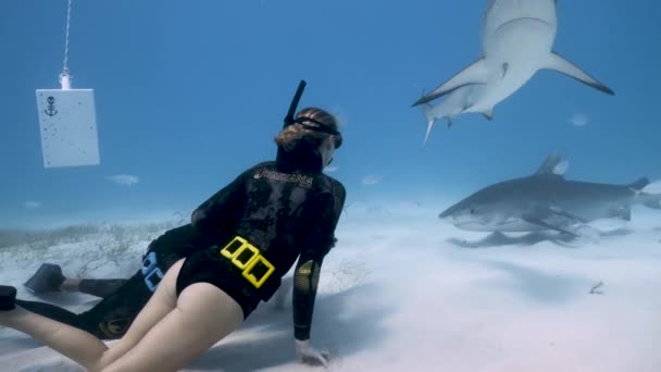 Šnorchlování Pár Modrém Moři Písečné Dno Obklopen Žraloky Tygří — Stock video