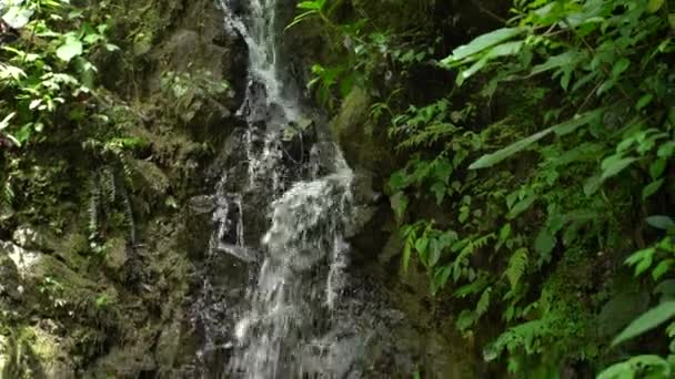自然の中で小さな滝 — ストック動画