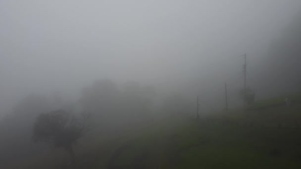 Mgła Wśród Przyrody Kostaryce — Wideo stockowe