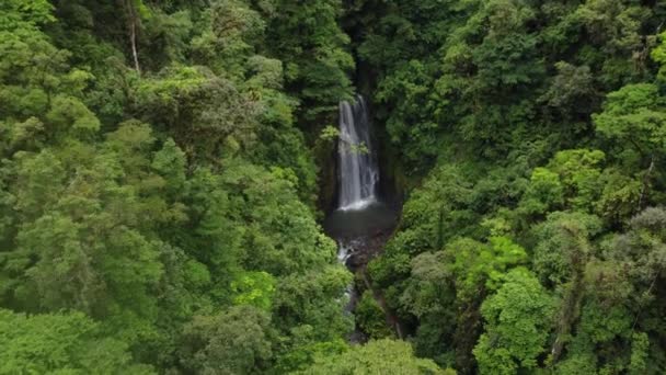 Bela Cachoeira Costa Rica — Vídeo de Stock