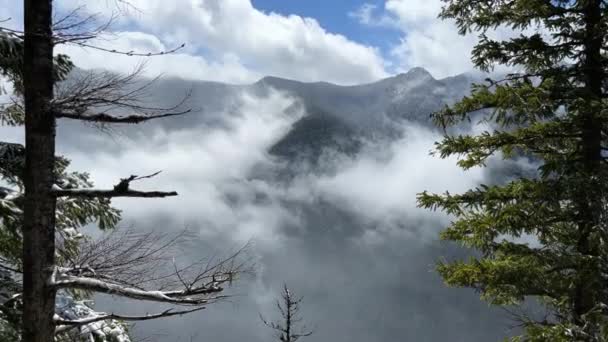 Uitzicht Bergen Vanuit Het Bos Vaststelling Van Schot Uitzicht Vanaf — Stockvideo