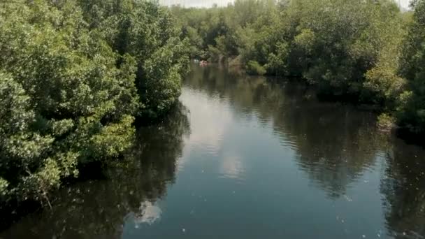 Spegel Reflektion Genom Mangrove Inlet Med Turister Kajakpaddling Nära Paredn — Stockvideo