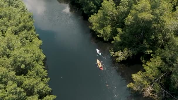 Personas Reman Kayaks Río Pantano Manglares Paredon Guatemala Tiro Aéreo — Vídeos de Stock