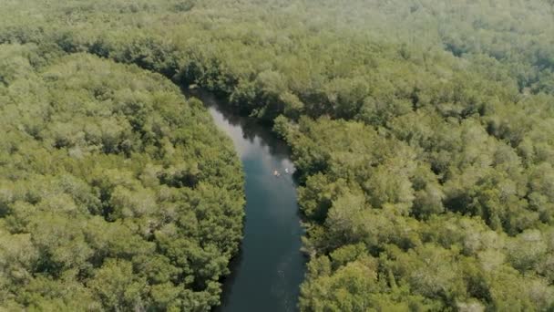 Vista Aérea Barcos Caiaque Rio Com Floresta Mangue Paredn Escuintla — Vídeo de Stock