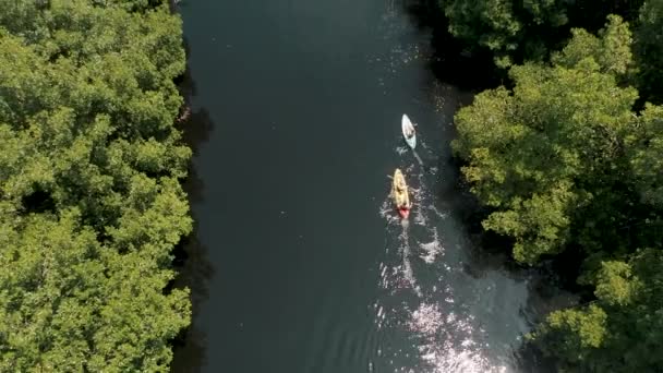 Kayakers Paddling Canoe River Tropical Rainforest Guatemala Aerial Drone Shot — Stock Video