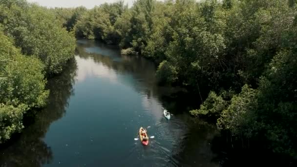 Vista Aérea Los Kayaks Bosque Manglares Paredon Guatemala Tiro Con — Vídeos de Stock