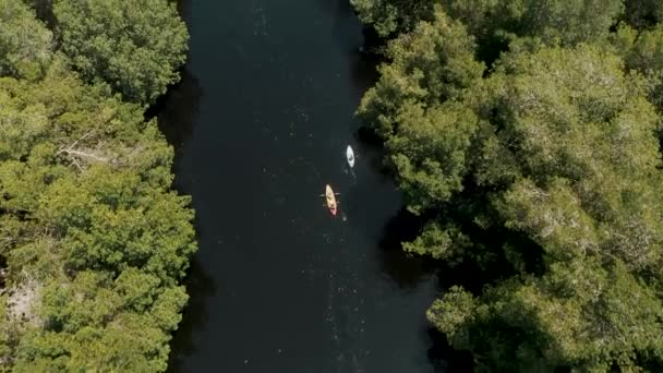 Letecký Výhled Mangrove Forest Kajaky Paredon Guatemala Drone Shot — Stock video