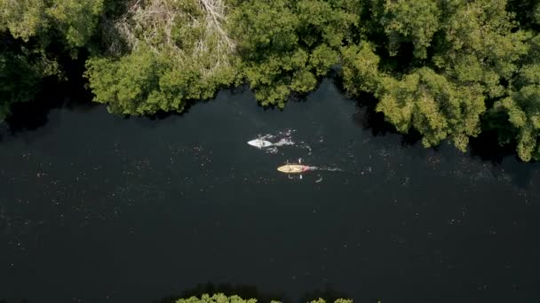 Vista Aérea Sobre Los Kayaks Río Escénico Rodeado Exuberante Vegetación — Vídeos de Stock