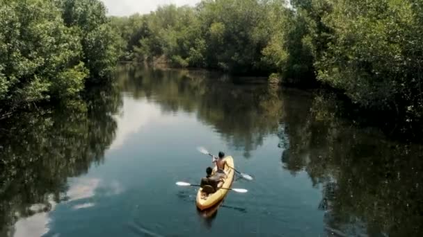 Couple Adventure Kayaks Beautiful Mangrove Forest Paredon Guatemala Drone Shot — 비디오