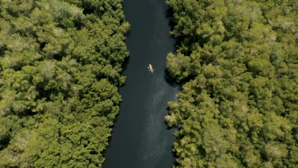 Kayaking Lagoon Mangrove Forest Paredon Guatemala Daytime Air Top — Stok Video