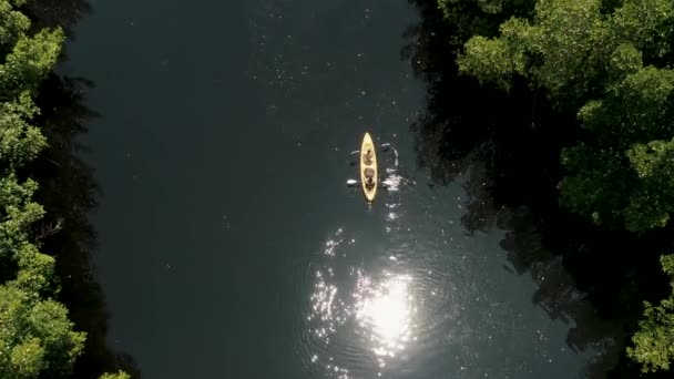 Sunlight Reflected Calm River People Kayaking Paredon Escuintla Guatemala Aerial — Stock Video