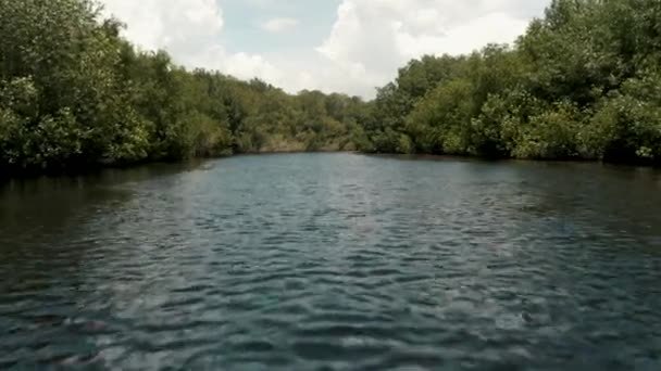 Drone Fly Rippled Water Mangrove Forest Poblíž Paredon Escuintla Guatemala — Stock video
