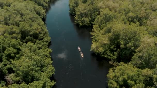 Utsikt Över Liten Båt Cruising Längs Mangrove Floden Sett Bogsering — Stockvideo