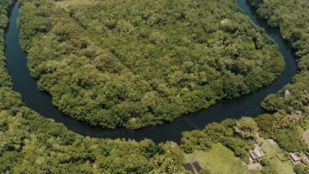 Luchtfoto Van Mangrove Moeras Omringd Door Weelderig Tropisch Regenwoud Paredon — Stockvideo