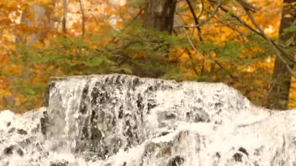 Природний Фонтан Води Террас Падає Канад Хіллз Мирне Золоте Тло — стокове відео