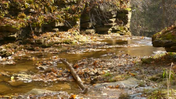 秋の岩肌を流れる穏やかな森の川 静かな景色 — ストック動画